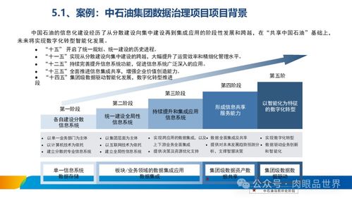 XX集團數據治理體系建設方案——數據處理服務專項